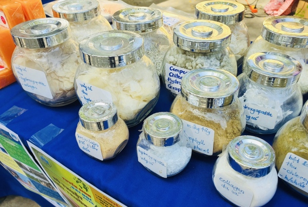 Hoạt động tư vấn tuyển sinh trong tháng 3/2026